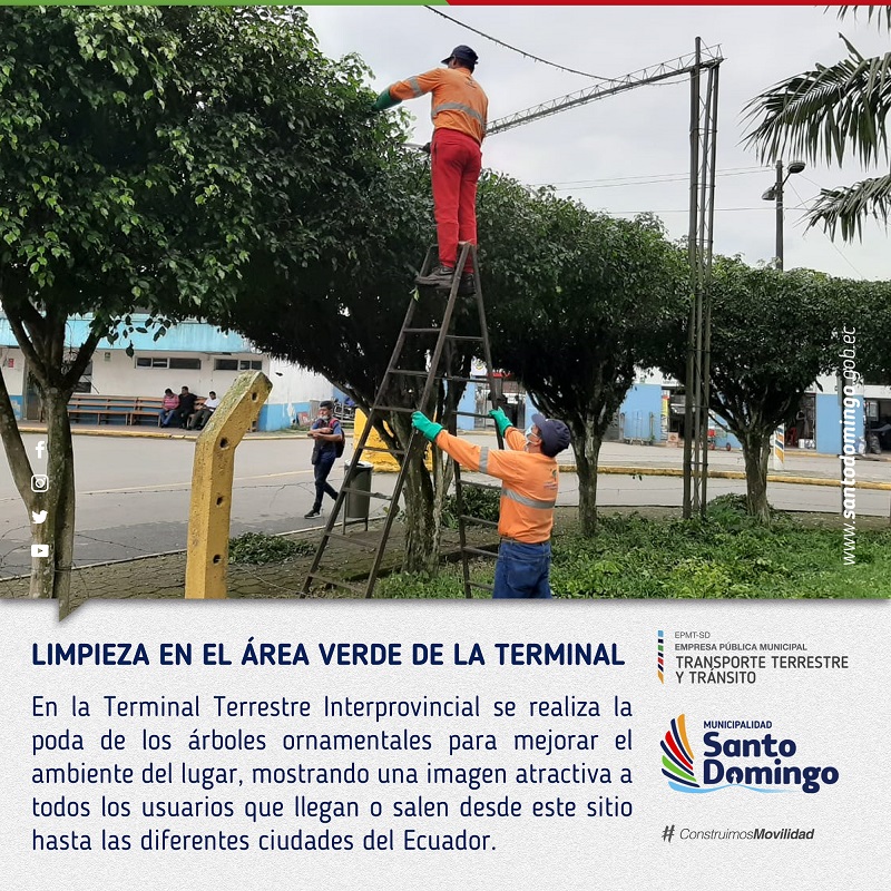Limpiezaterminal