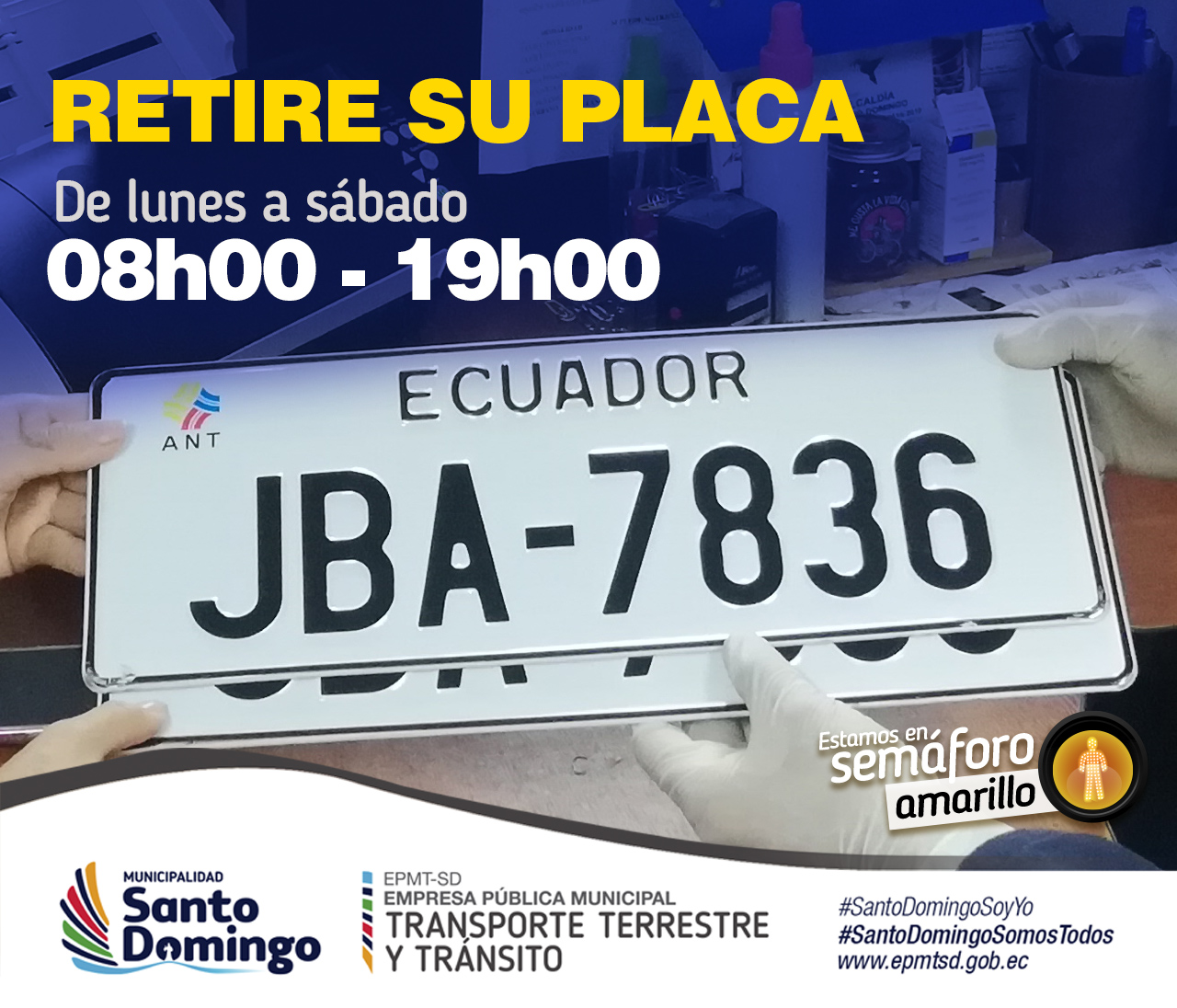 Placas Servio copia