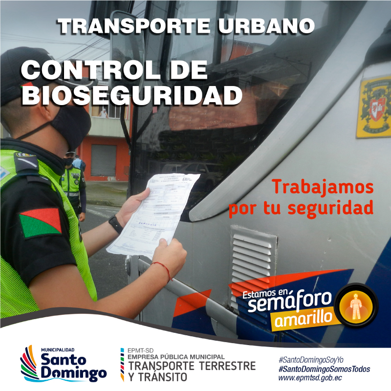 Protocolos buses333 800 800